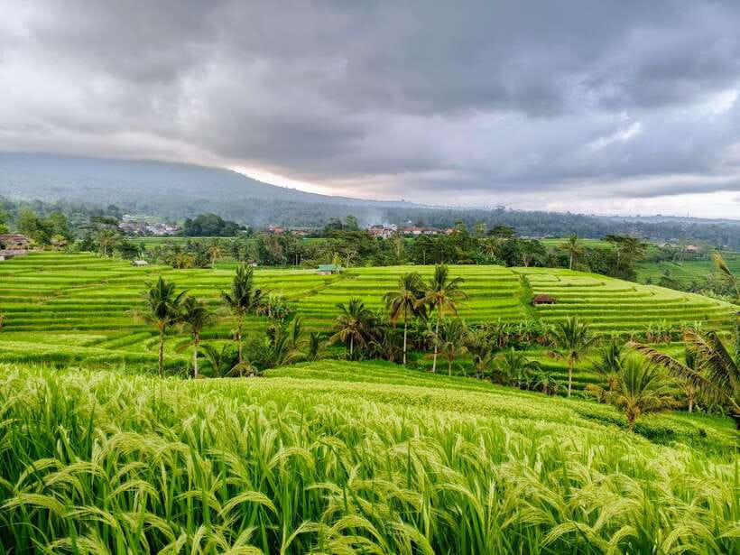 Bali: Lake Temple, Jatiluwih Rice Terrace & Waterfall Tour - Ulun Danu Beratan, Bali’s temple on the lake