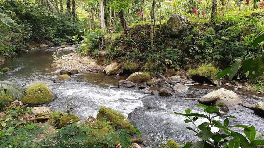 Bali: Leke Leke, Munduk, & Banyumala Waterfalls Private Tour - Booking advice for a smoother day