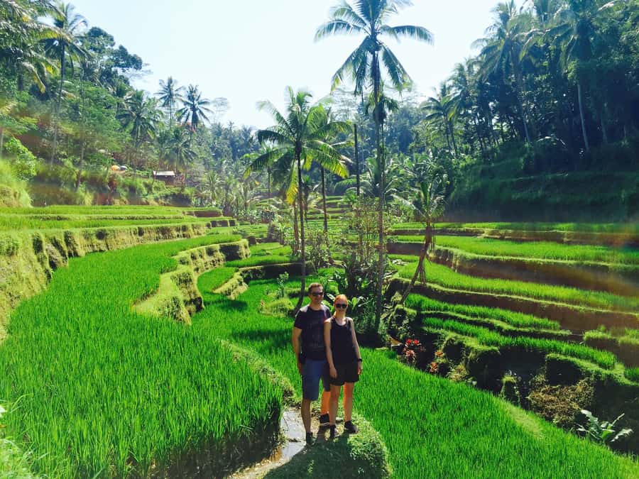 Bali: Leke-Leke Waterfall, Monkey Forest & Jungle Swing Tour - Why this Bali day trip works