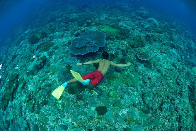 Bali Lembongan Island Beach Club Day Trip - Optional extras and their real cost