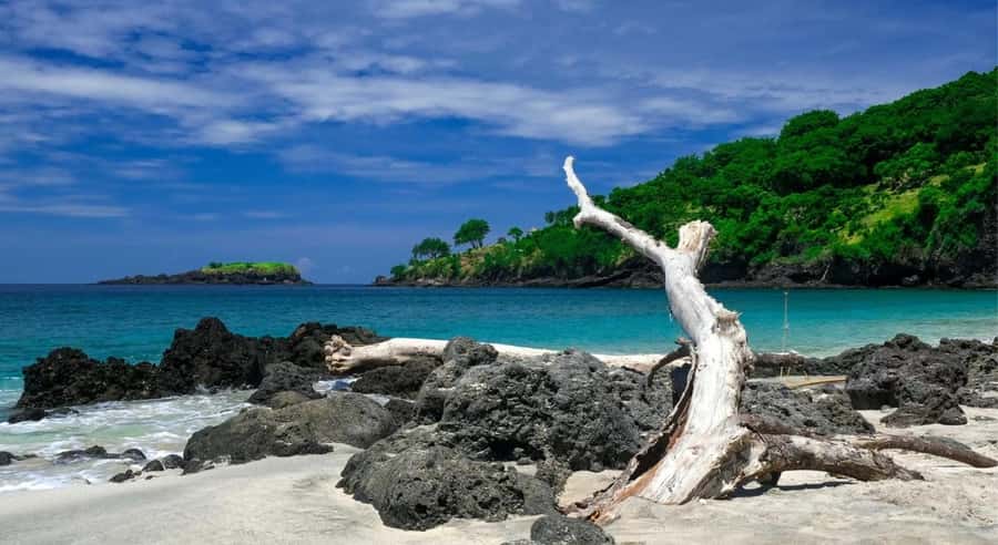 Bali: Lempuyang Temple, Tirta Gangga, and Goa Lawah Tour - Book it or skip it?
