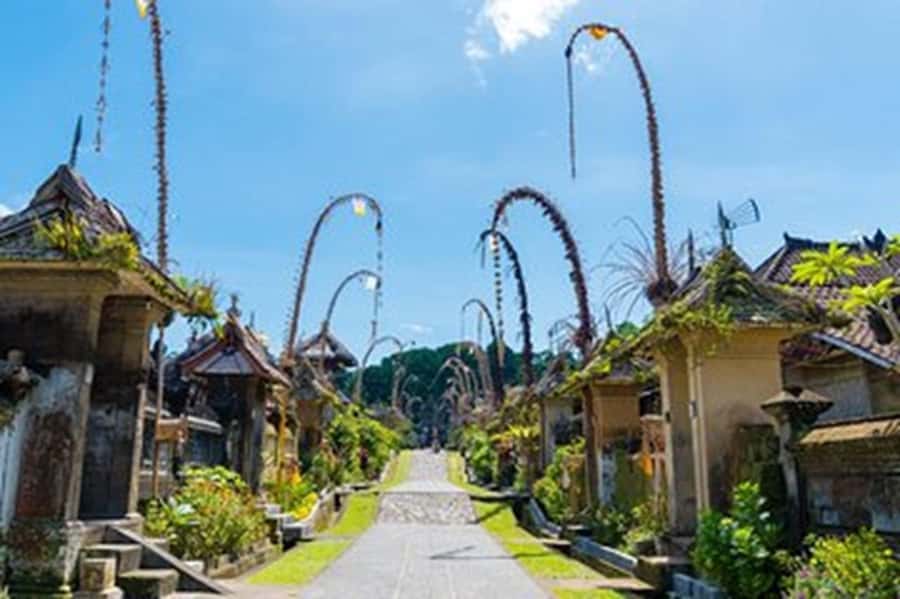 Bali: Local Village and School Tour with Lunch - Key points to know before booking