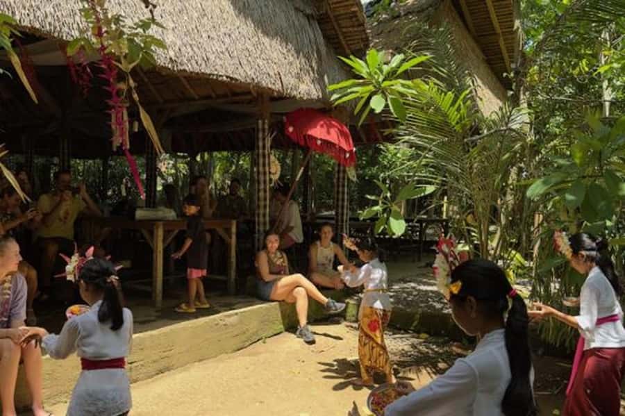 Bali: Local Village and School Tour with Lunch - A full day built around village life