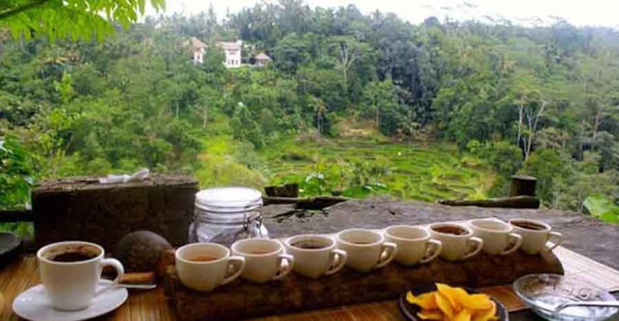 Bali: Local Village and School Tour with Lunch - Lunch with Joged music and children’s dance