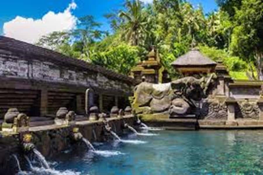Bali: Local Village and School Tour with Lunch - The extra stops listed for the day