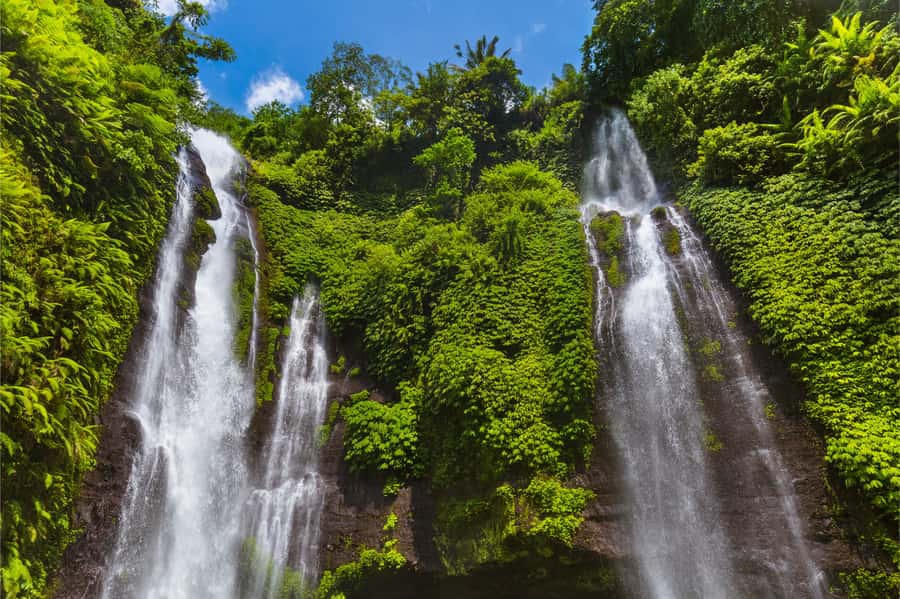 Bali: Lovina Beach and Bedugul Mountain Private Tour - Key points at a glance