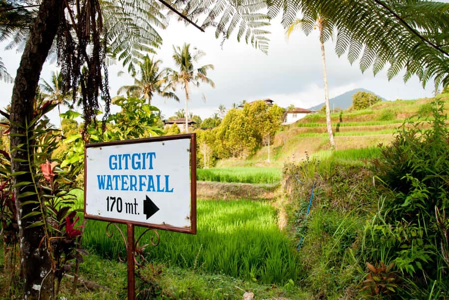 Bali: Lovina Beach and Bedugul Mountain Private Tour - Singaraja and Bali’s northern coast