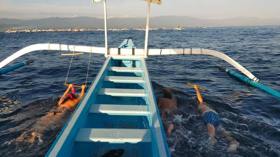 Bali: Lovina dolphin adventure with breakfast and snorkling. - Key points to know before you book