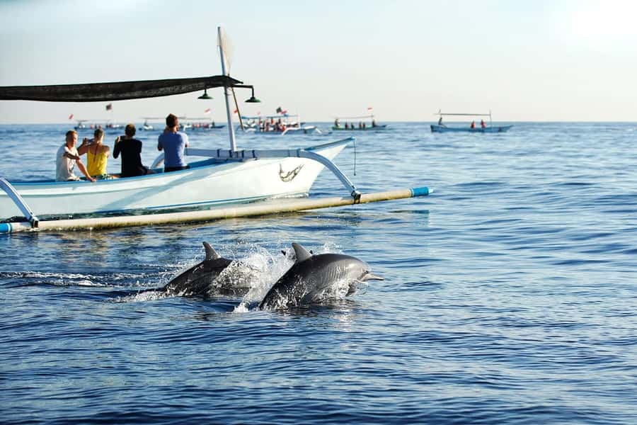 Bali: Lovina dolphin adventure with breakfast and snorkling. - Why Lovina is the right place for this outing
