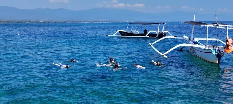 Bali: Lovina dolphin adventure with breakfast and snorkling. - Sunrise dolphin watching from a local boat