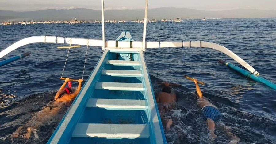 Bali: Lovina dolphin adventure with breakfast and snorkling. - Snorkeling over Lovina’s coral reef