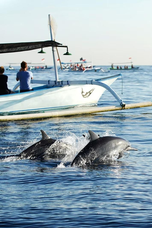 Bali: Lovina dolphin adventure with breakfast and snorkling. - Where Banyumala Twin Waterfalls fits