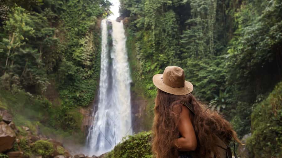 Bali/Lovina: Dolphin Snorkeling, Swimming & Waterfall Tour - What makes this Lovina morning worth considering