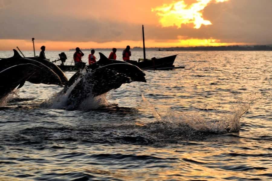 Bali/Lovina: Dolphin Snorkeling, Swimming & Waterfall Tour - Leaving before dawn for Lovina Beach
