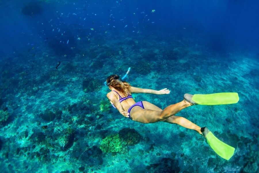 Bali/Lovina: Dolphin Snorkeling, Swimming & Waterfall Tour - Snorkeling is often the calmer highlight