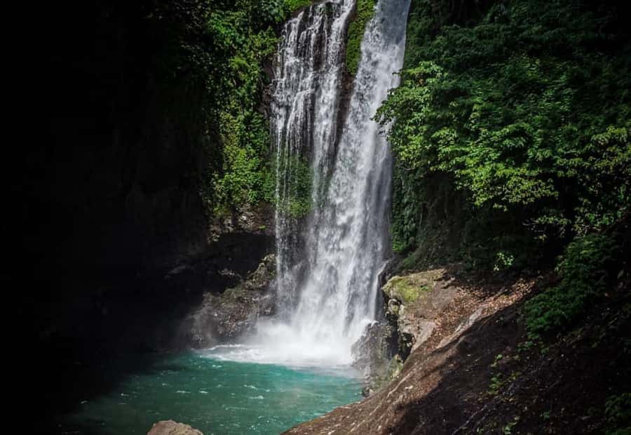 Bali/Lovina: Dolphin Snorkeling, Swimming & Waterfall Tour - Who will enjoy this most