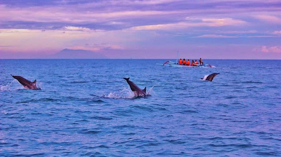 Bali/Lovina: Dolphin Snorkeling, Swimming & Waterfall Tour - Practical ways to make the morning better
