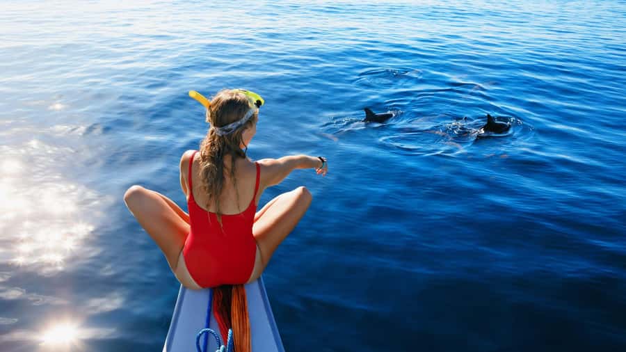 Bali/Lovina: Dolphin Snorkeling, Swimming & Waterfall Tour - Watching dolphins in the golden morning light