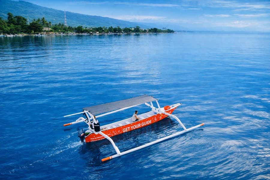 Bali/Lovina: Guided Dolphin Watching & Sunrise Boat Snorkel - Swimming beside the dolphins