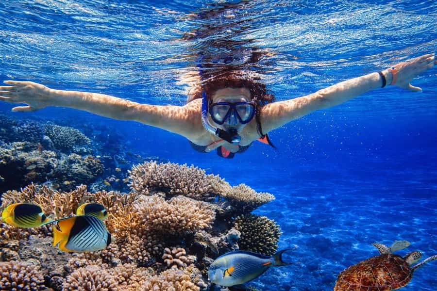 Bali/Lovina: Guided Dolphin Watching & Sunrise Boat Snorkel - Who will enjoy this morning most