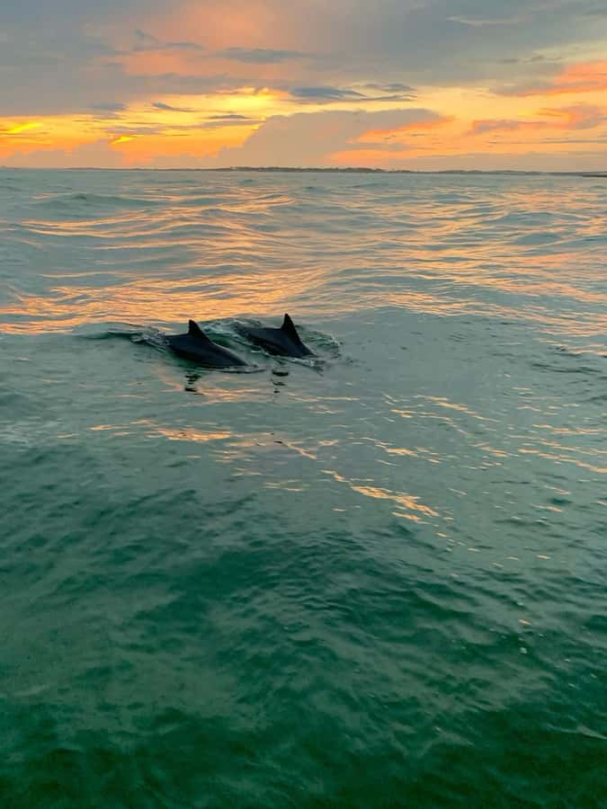 Bali: Lovina Sunset Tour with Snorkeling Experience - Snorkeling above coral and fish