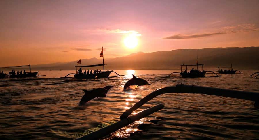 Bali: Lovina Swimming With Dolphine & Snorkeling Tour - Key points to know before booking