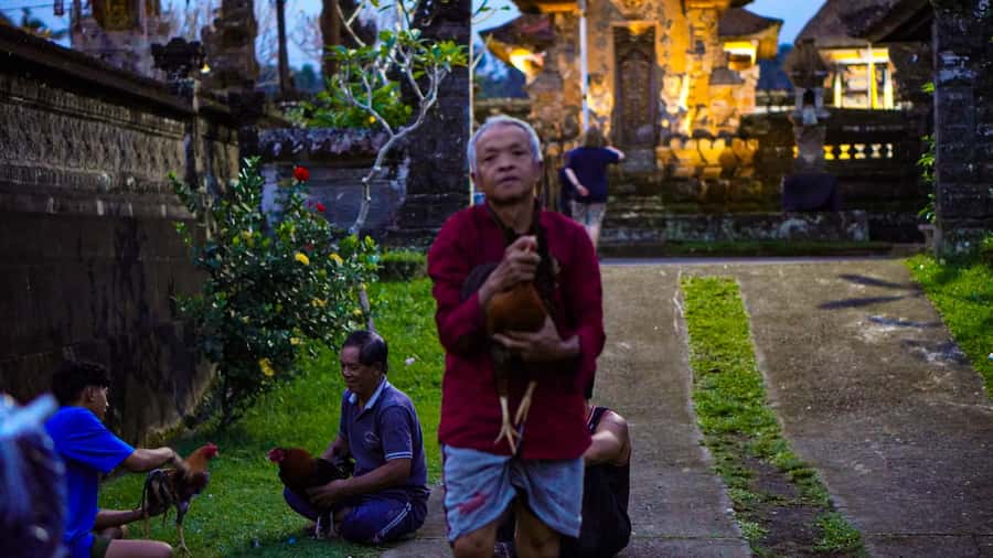 Bali: Magical Fireflies Tour in Taro Village with Dinner - Should you book the Taro firefly tour?