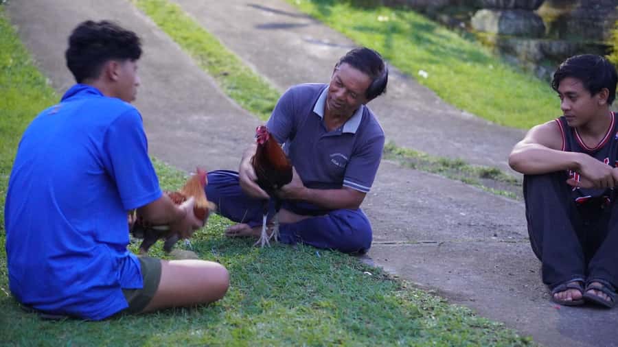 Bali: Magical Fireflies Tour in Taro Village with Dinner - Meeting guides Made and Komang