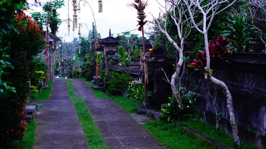 Bali: Magical Fireflies Tour in Taro Village with Dinner - How much value do you get for $17?