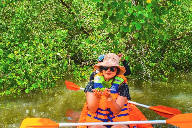 Bali Mangrove Canoeing Tour - Paddling the Kedonganan mangrove forest