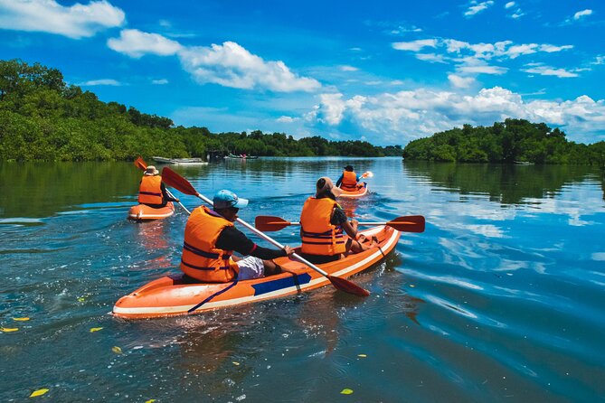 Bali Mangrove Canoeing Tour - Price, group size, and what you receive
