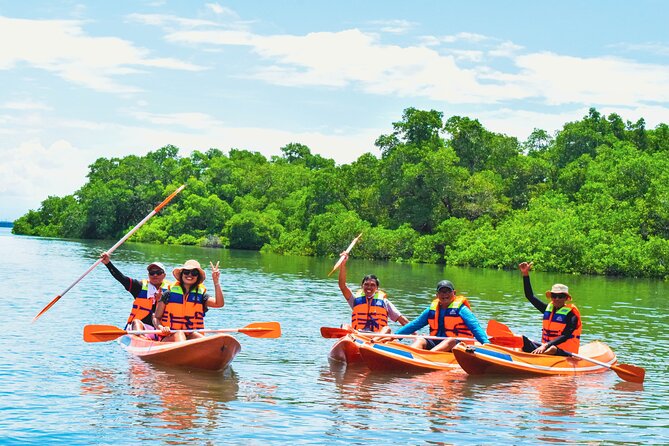 Bali Mangrove Canoeing Tour - Pickup, preparation, and the start of the route
