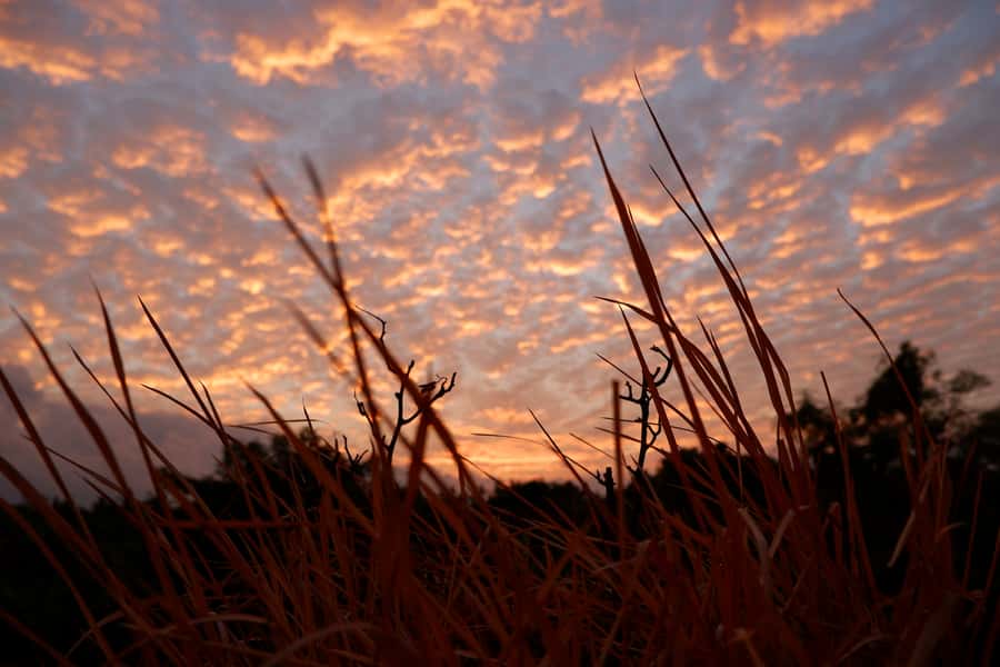 Bali: Mount Batur Entry Ticket on a Guided Hike or Jeep Ride - What the $26 Mount Batur outing really offers