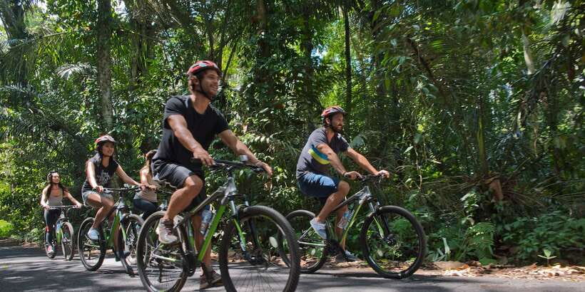 Bali: Mount Batur Mountain Biking Adventure with Lunch - Rice fields and a slower side of Bali