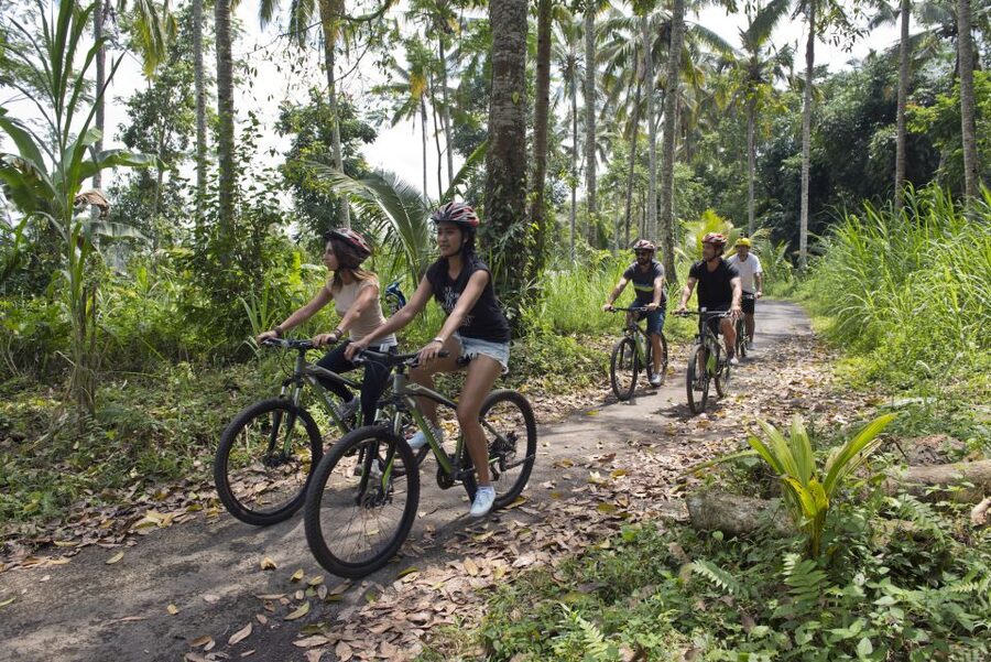 Bali: Mount Batur Mountain Biking Adventure with Lunch - Lunch after the ride