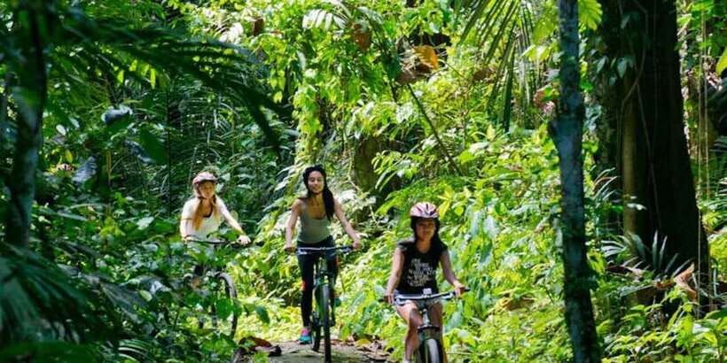 Bali: Mount Batur Mountain Biking Adventure with Lunch - What 30 kilometers of mostly downhill riding feels like