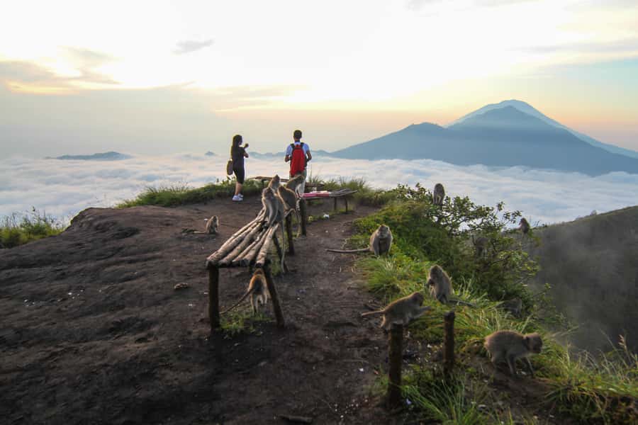 Bali: Mount Batur Sunrise Hike and Hidden Waterfall - Who will enjoy this Mount Batur day trip?