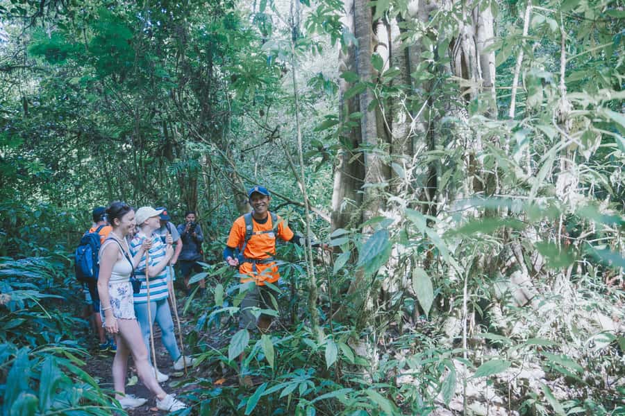 Bali: Munduk Waterfalls Trek, Twin Lakes and Temple Tour - Transport, timing, and the shape of the day