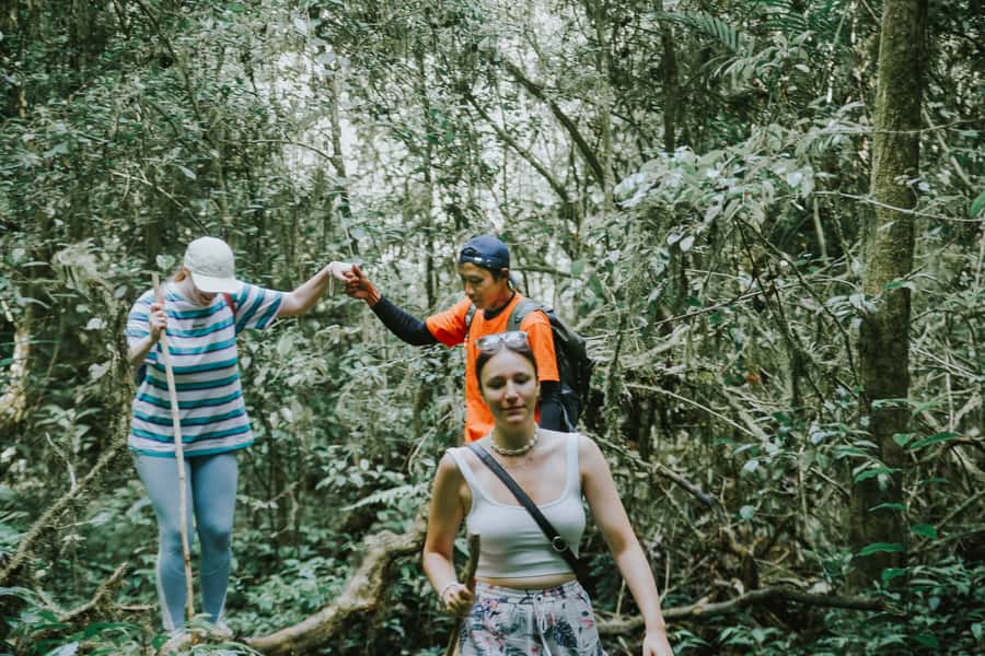 Bali: Munduk Waterfalls Trek, Twin Lakes and Temple Tour - Walking the rainforest with a local guide