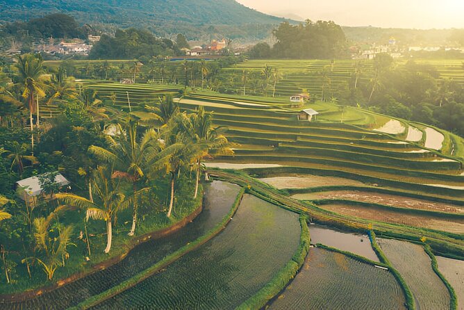 Bali Nature and Paradise Escape | With The Best Bali Driver - Celuk Village and Bali’s silver craft