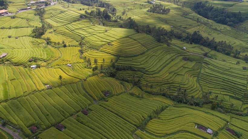 Bali: North Bali Customizable itineraries Trip with Transfer - How to Pack for the Day