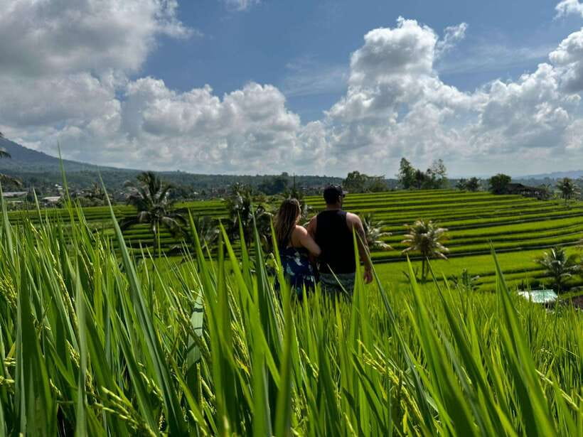 Bali: North Bali Customizable itineraries Trip with Transfer - Jatiluwih Rice Terrace and the Question of Timing