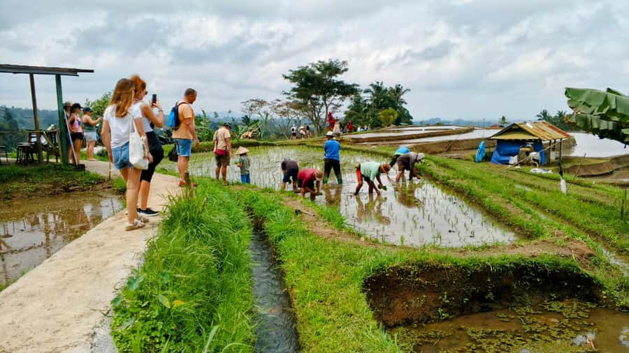 Bali: North Bali Tour With Yeh Hoo Waterfall - Ulun Danu Beratan and the Quiet Edge of Lake Beratan
