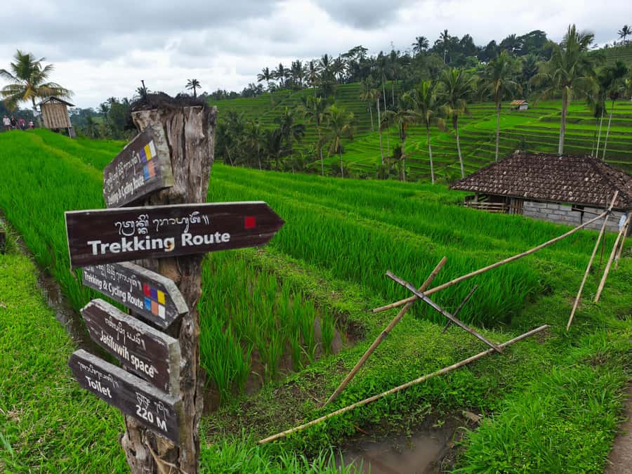 Bali: North Bali Tour With Yeh Hoo Waterfall - What $49 Covers and What It Does Not