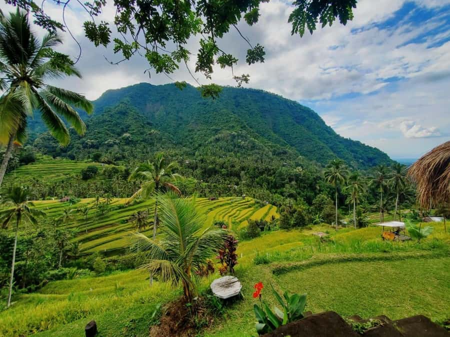 Bali: North Bali Waterfalls and Twin Lakes Tour with Lunch - What the $77 price includes