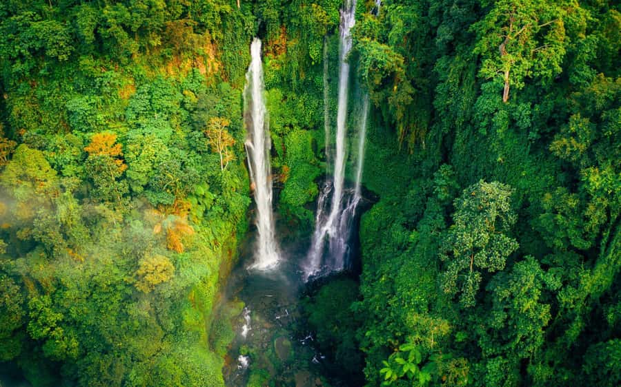 Bali: North Highlights Private Full-Day Customized Tour - Why North Bali Makes a Good Private Day