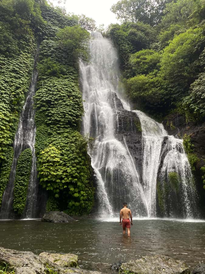 Bali Northern Trip : Majestic Waterfall Tour - Key points at a glance