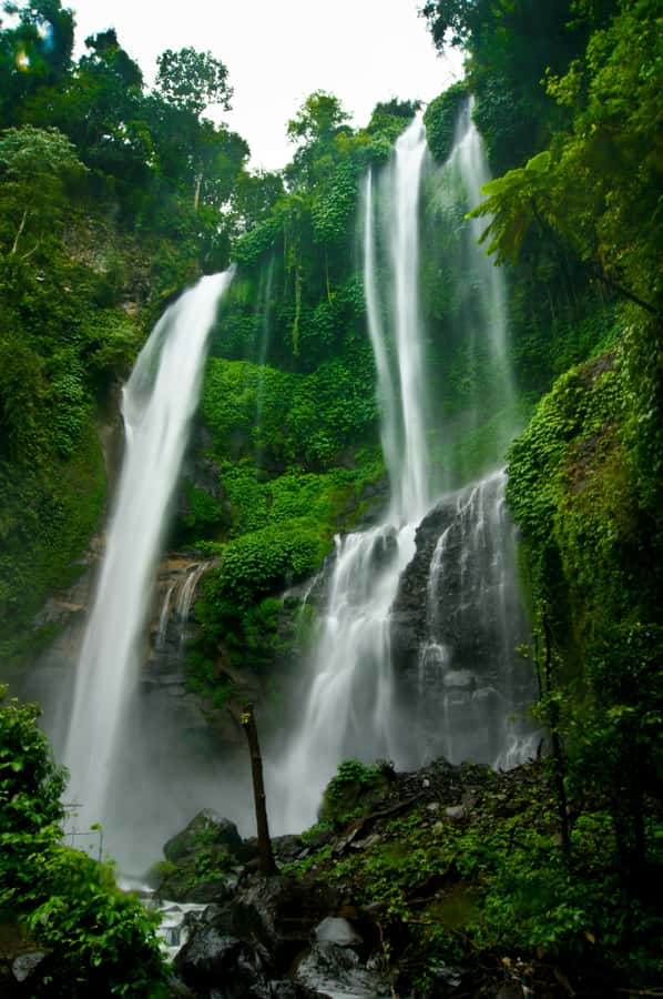 Bali Northern Trip : Majestic Waterfall Tour - Sekumpul Waterfall is the active centerpiece