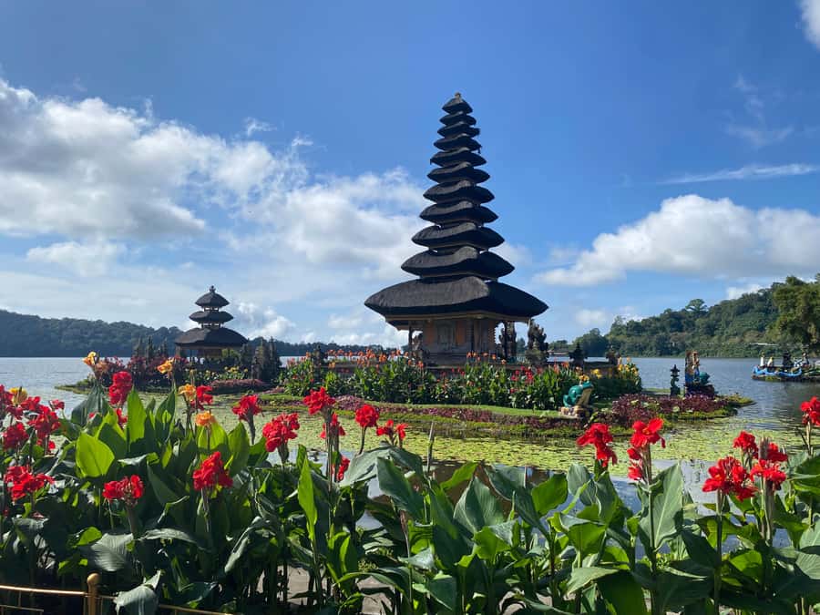 Bali Northern Trip : Majestic Waterfall Tour - What the $36 price really covers