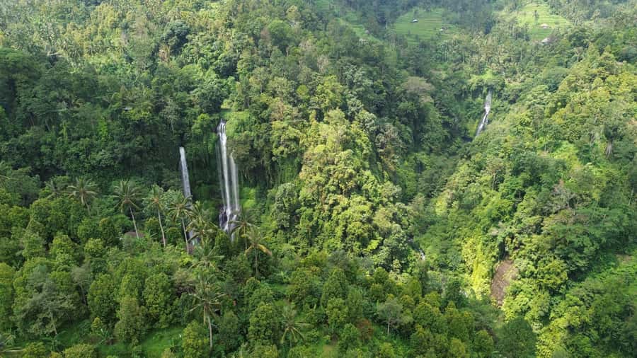 Bali Northern Trip : Majestic Waterfall Tour - Prepare for water, walking, and changing weather